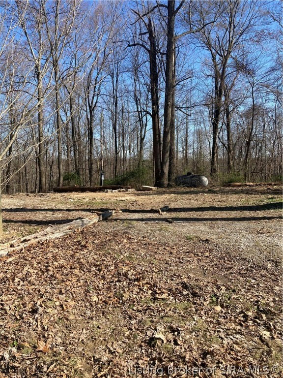 TRACT #2 E PILOT KNOB ROAD, MILLTOWN, IN 47145, photo 1 of 2