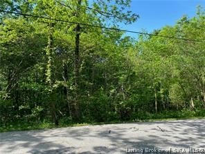 TRACT 1 MT. TABOR ROAD NW, RAMSEY, IN 47166, photo 1