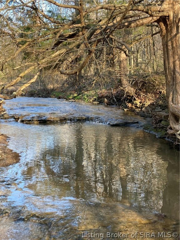 S SIDE OF BOWERS KNOB ROAD, PEKIN, IN 47165, photo 1 of 41