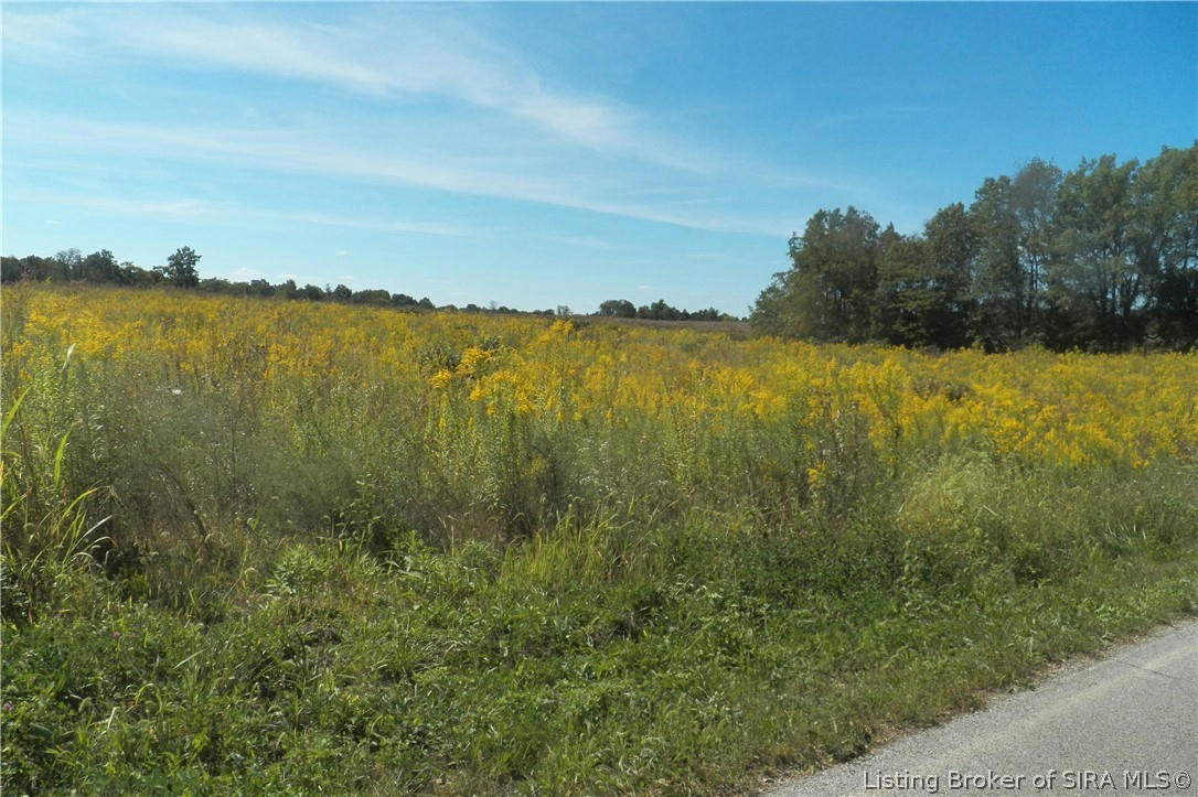 FLATWOOD RD TRACT #6, RAMSEY, IN 47166, photo 1
